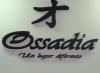 Ossadiamujer-trajes de bao